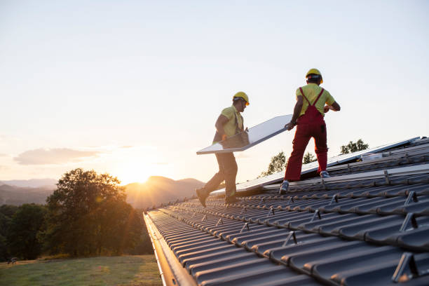 Best Roof Maintenance and Cleaning  in Elberton, GA