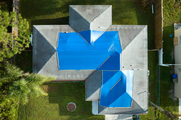 Best Steel Roofing  in Elberton, GA
